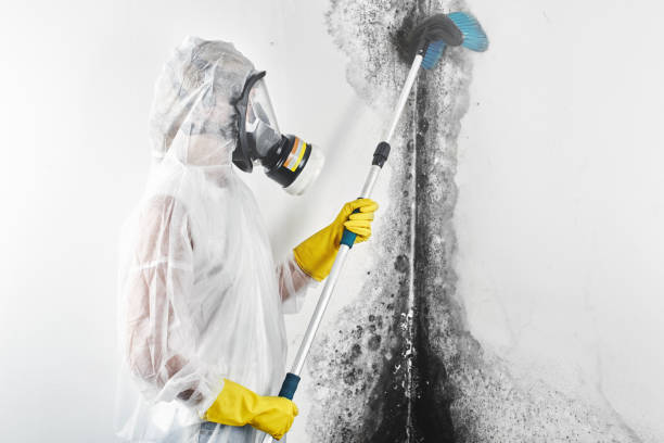 Best Post-Remediation Verification Testing  in Denton, MD