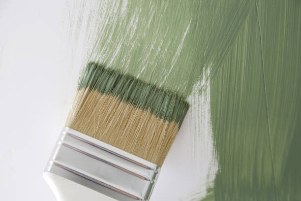 Best Black Mold Removal  in Denton, MD