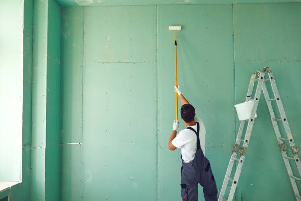 Best Mold Removal for HVAC Installations  in Denton, MD