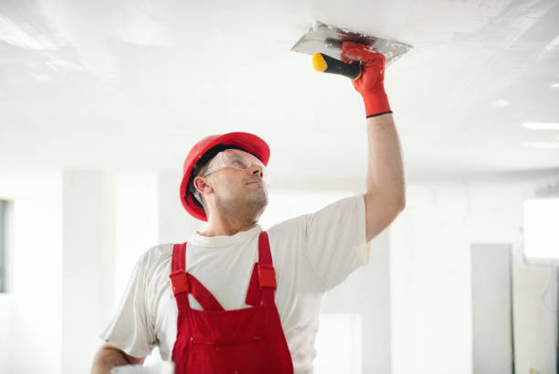 Best Mold Remediation for Healthcare Facilities  in Denton, MD