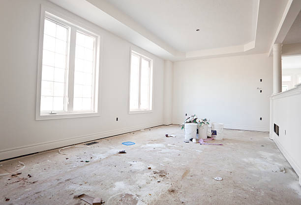  Denton, MD Mold Removal Pros