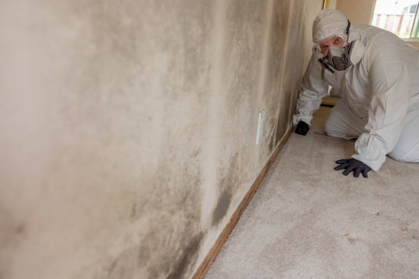 Best Indoor Air Quality Assessment  in Denton, MD