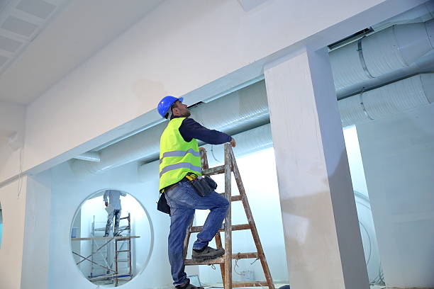 Best Mold Damage Restoration  in Denton, MD