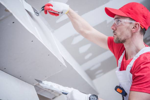 Best Mold Documentation for Insurance Claims  in Denton, MD